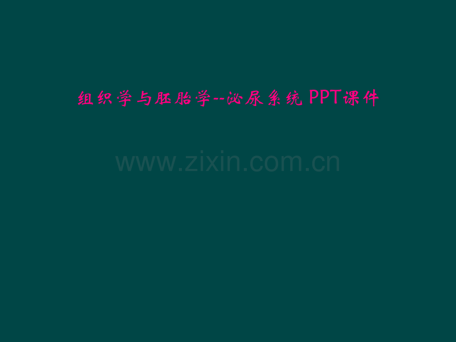 组织学与胚胎学--泌尿系统-PPT课件.pptx_第1页