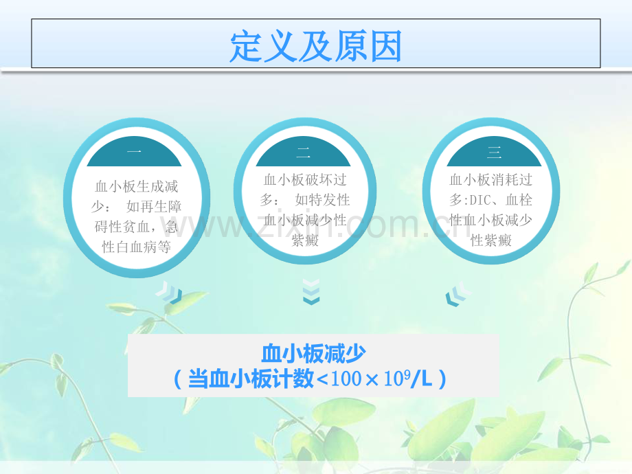 PPT医学课件血小板减少病人的护理讲义.ppt_第3页
