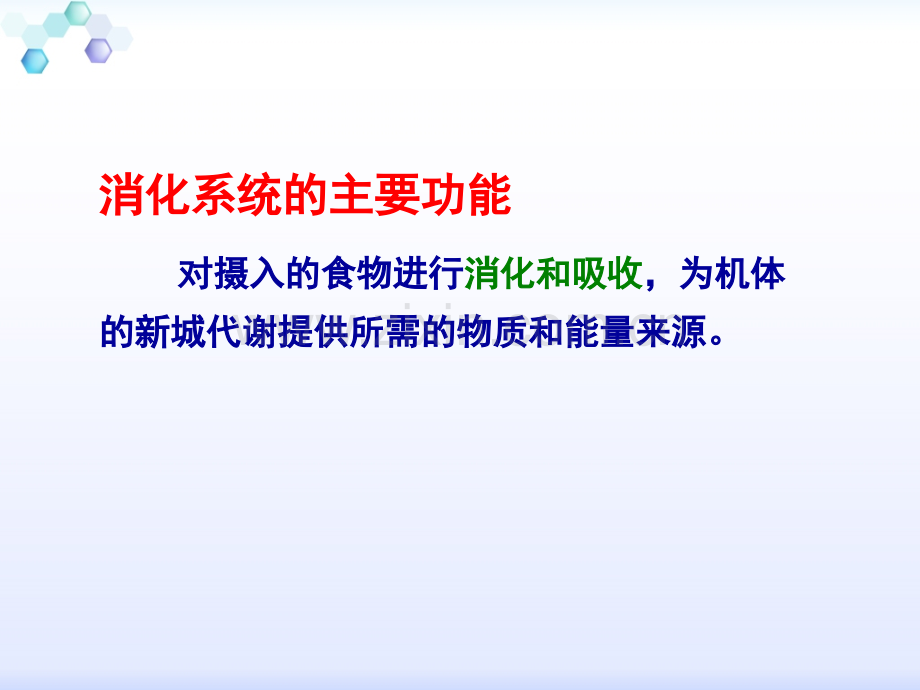 消化系统的结构与功能.ppt_第2页