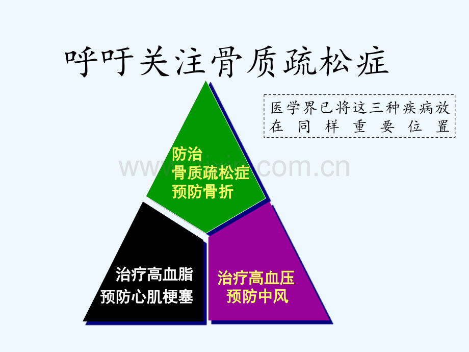 老年骨质疏松性骨折治疗原则.pptx_第2页