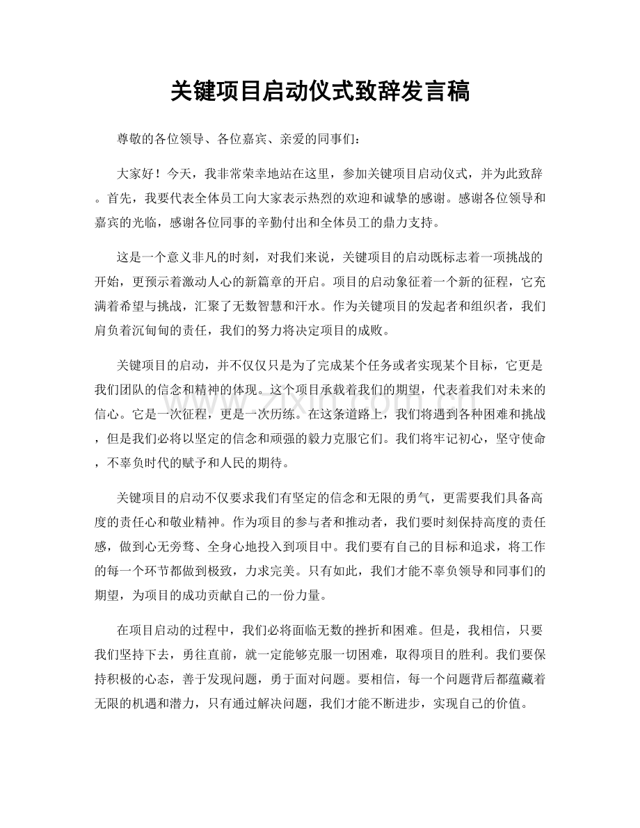 关键项目启动仪式致辞发言稿.docx_第1页