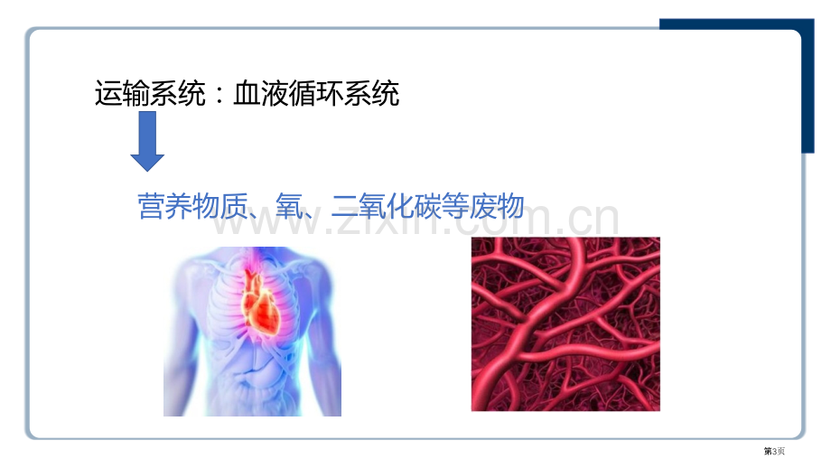 流动的组织-血液教学课件省公开课一等奖新名师优质课比赛一等奖课件.pptx_第3页