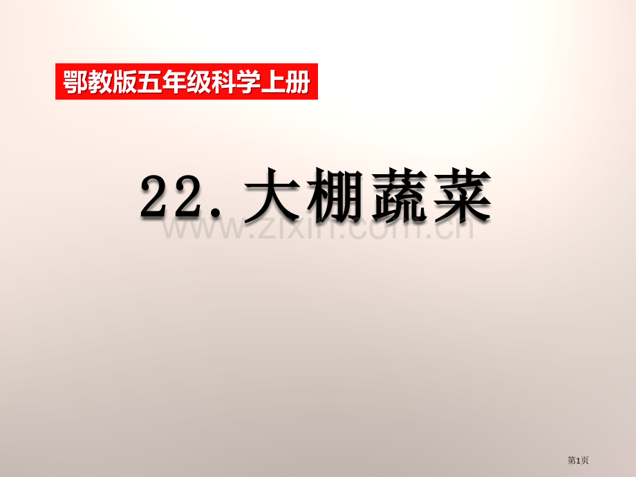 大棚蔬菜农田课件省公开课一等奖新名师优质课比赛一等奖课件.pptx_第1页