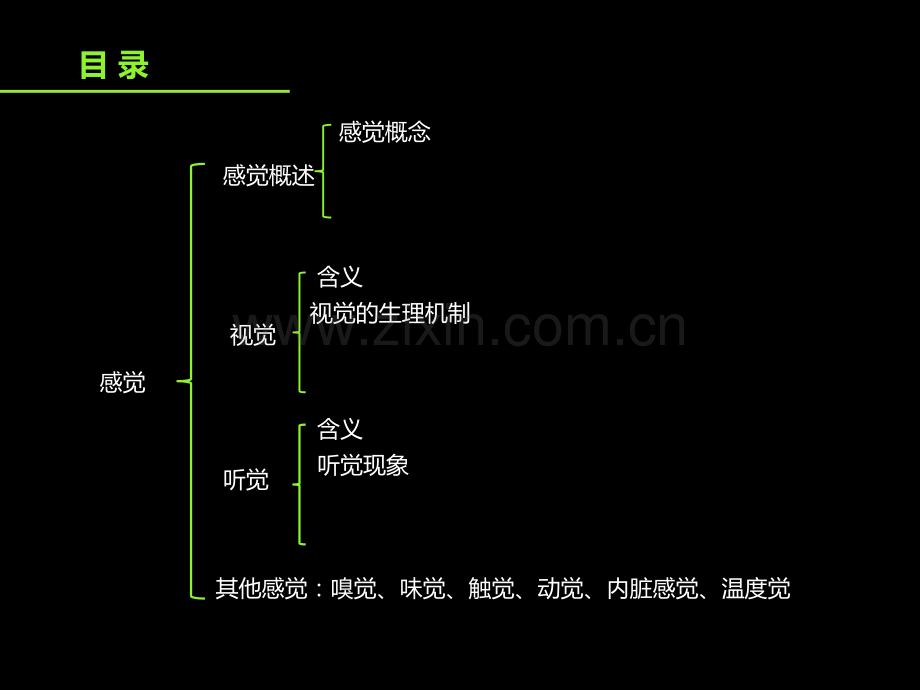 普通心理学-感觉.ppt_第2页