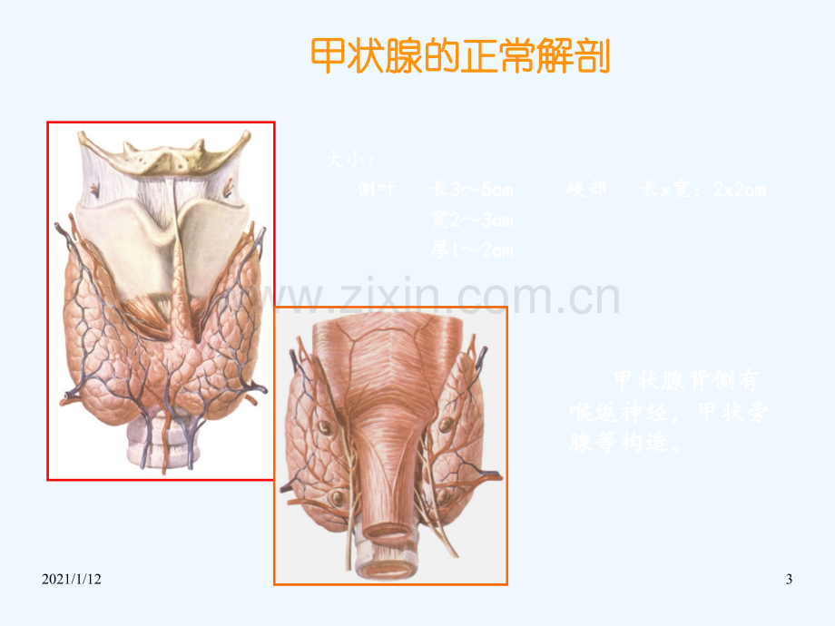 甲状腺结节的超声诊断与鉴别.ppt_第3页