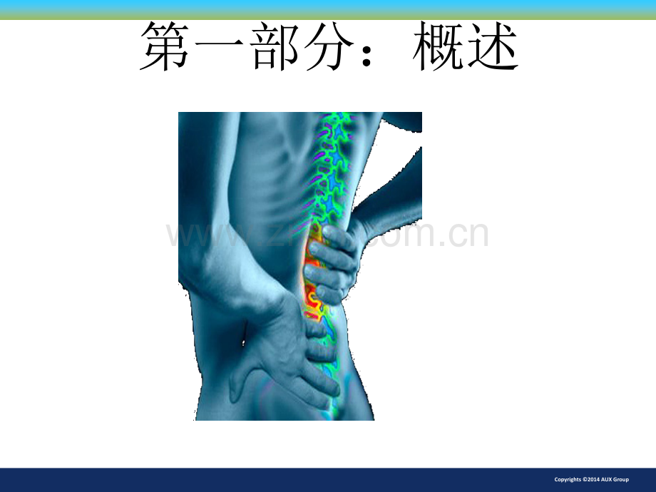 腰痛的诊断与鉴别诊断62626.ppt_第3页