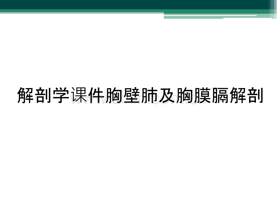 解剖学课件胸壁肺及胸膜膈解剖.ppt_第1页