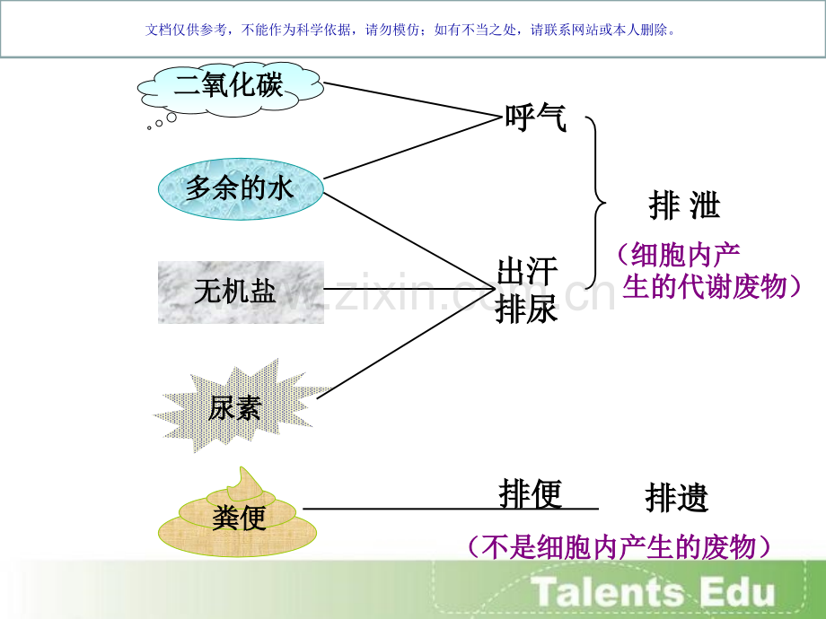 人体内尿液的形成和排出课件.ppt_第3页