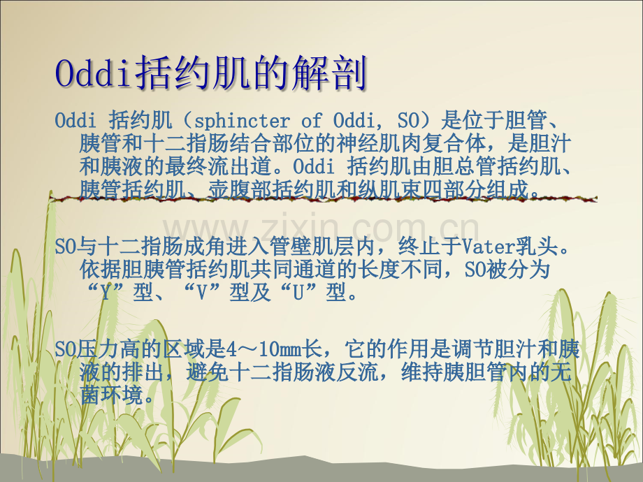 O括约肌功能障碍SOD优质PPT课件.ppt_第2页