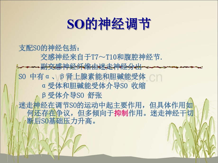 O括约肌功能障碍SOD优质PPT课件.ppt_第3页