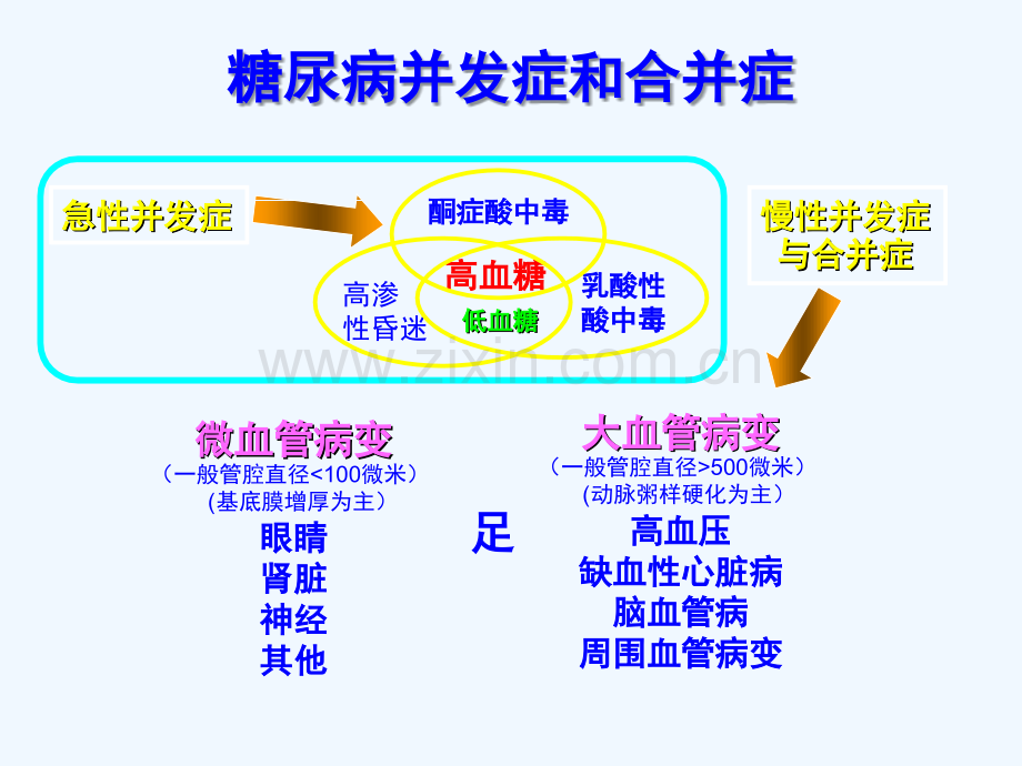 糖尿病急性并发症抢救.ppt_第2页