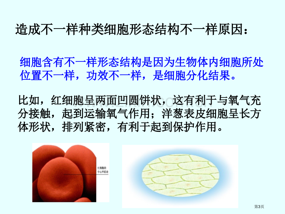 细胞的多样性和统一性市级市公开课一等奖百校联赛获奖课件.pptx_第3页