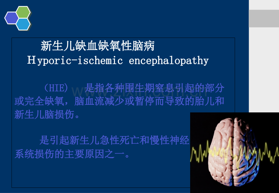 儿科学新生儿缺血缺氧性.ppt_第2页