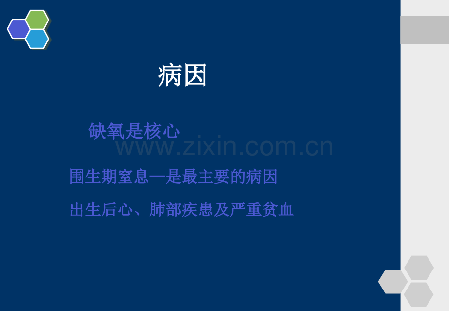 儿科学新生儿缺血缺氧性.ppt_第3页