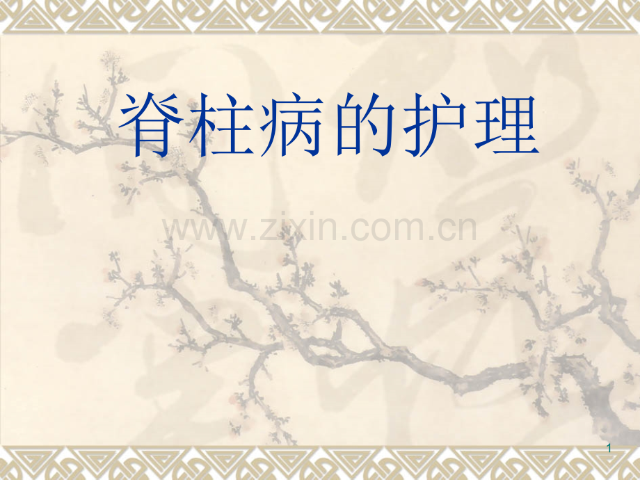 脊柱病的护理业务学习.ppt_第1页