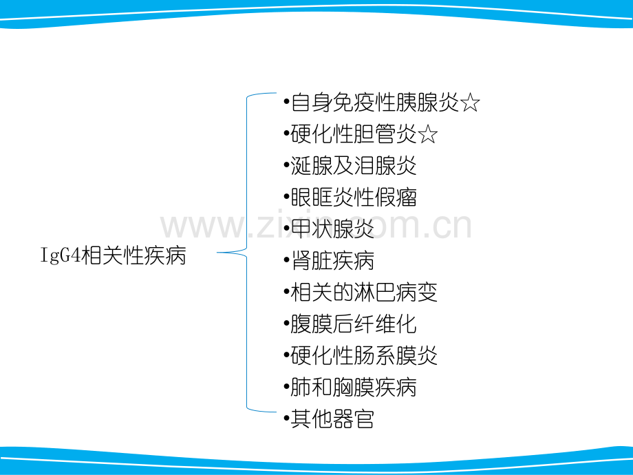 IgG相关性疾病-医学课件.ppt_第3页