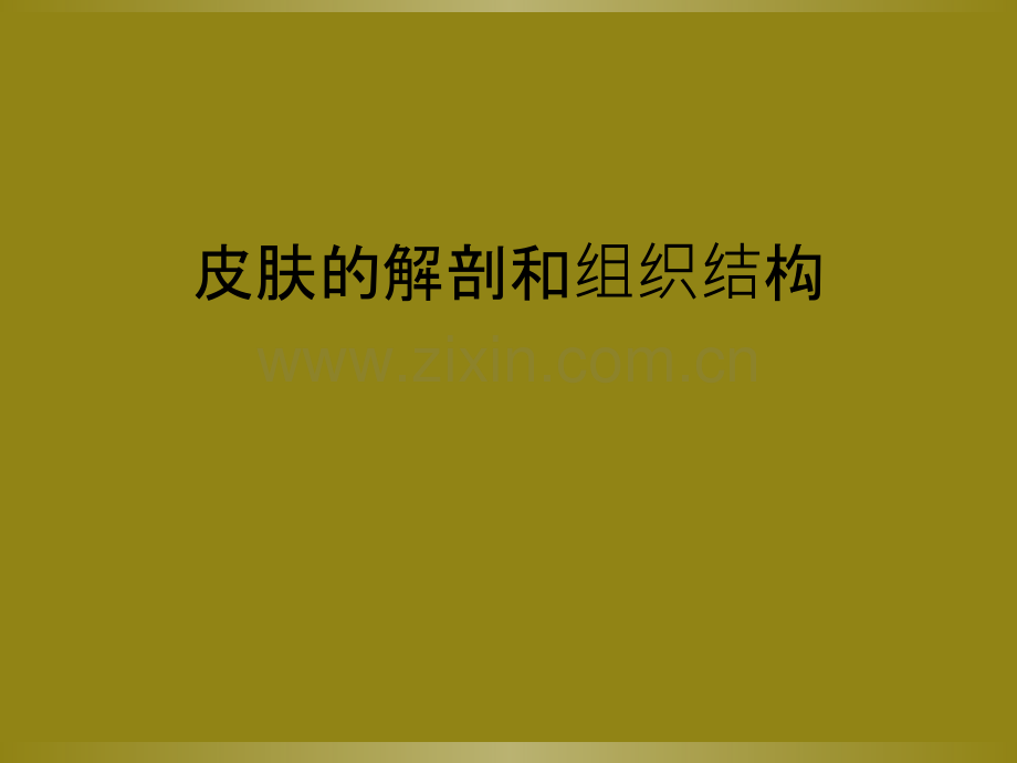 皮肤的解剖和组织结构.ppt_第1页