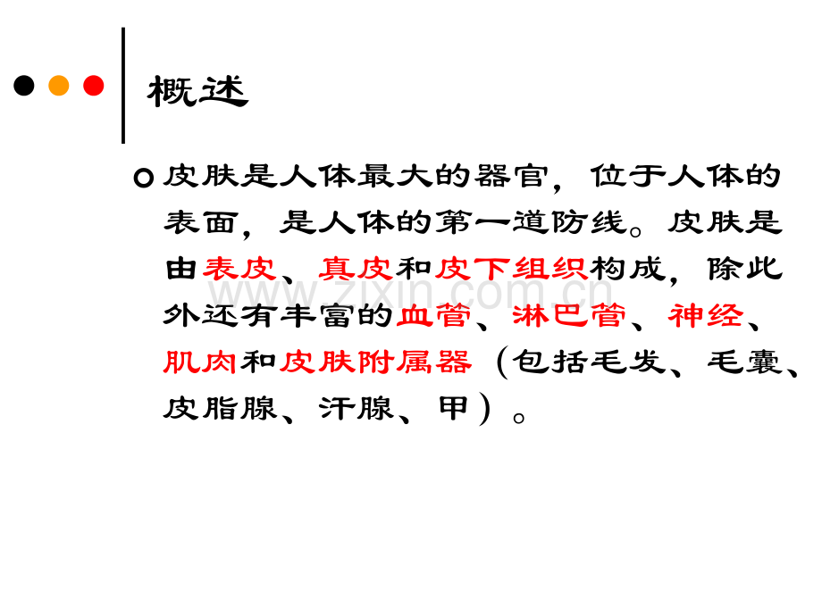 皮肤的解剖和组织结构.ppt_第2页