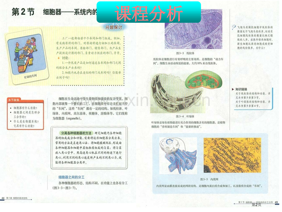 细胞器系统内的分工合作说课稿省公共课一等奖全国赛课获奖课件.pptx_第2页