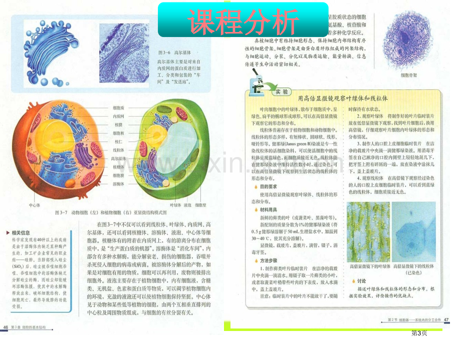 细胞器系统内的分工合作说课稿省公共课一等奖全国赛课获奖课件.pptx_第3页