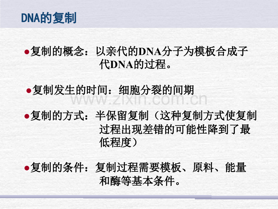 DNA的复制转录翻译PPT专业课件.ppt_第2页