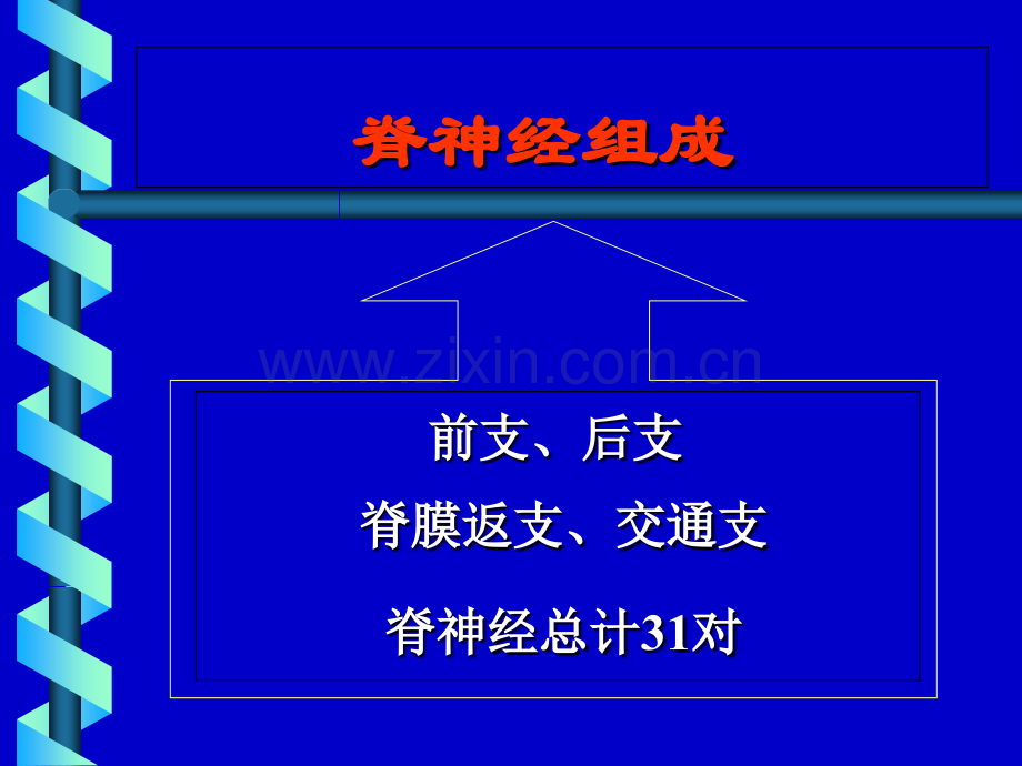 PPT医学课件脊神经后支痛的射频治疗讲义.ppt_第2页