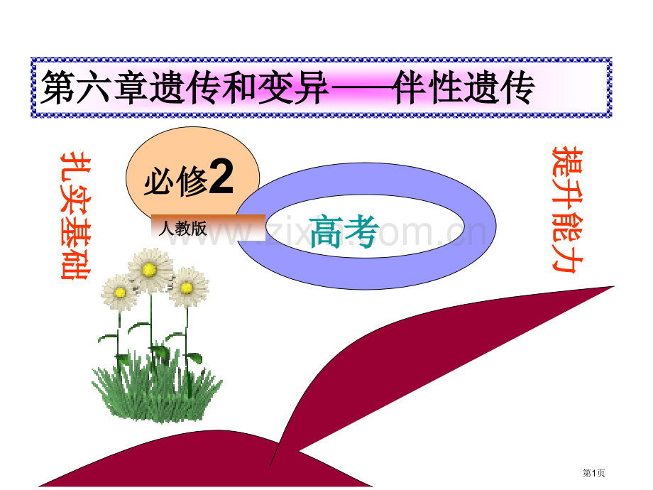 伴性遗传一轮复习市公开课一等奖百校联赛获奖课件.pptx_第1页