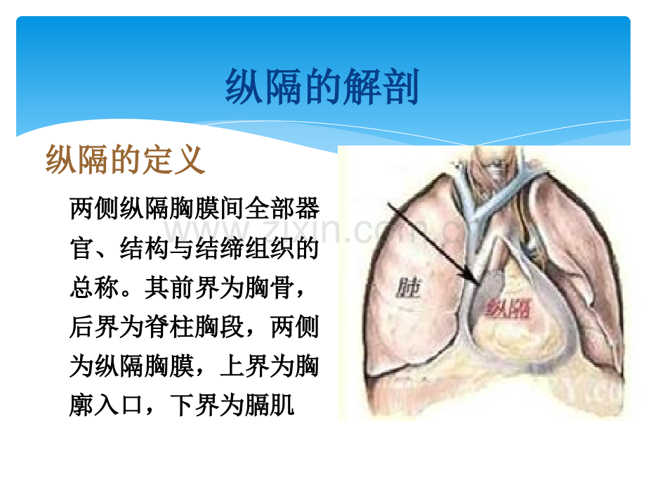 讲稿纵隔肿瘤护理常规.ppt_第3页