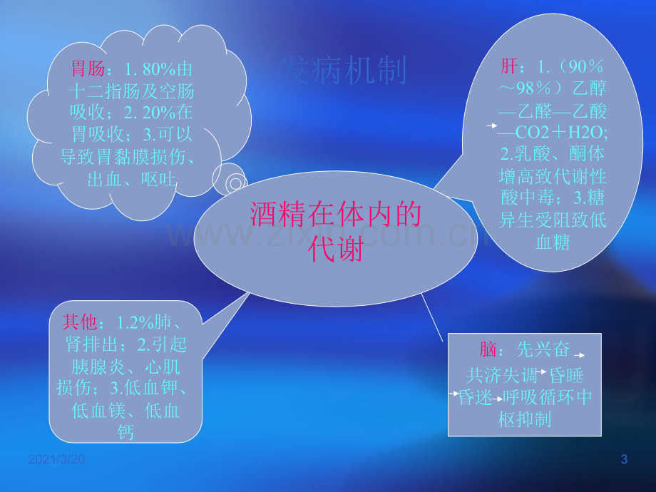 慢性酒精中毒中枢神经系统损害.ppt_第3页