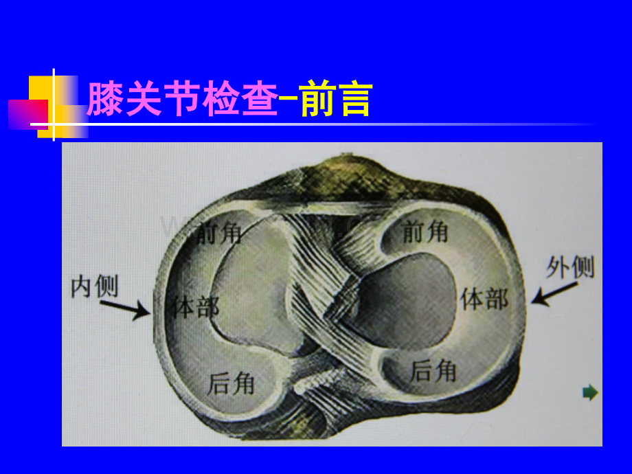 PPT医学课件膝关节体格检查讲义.ppt_第3页