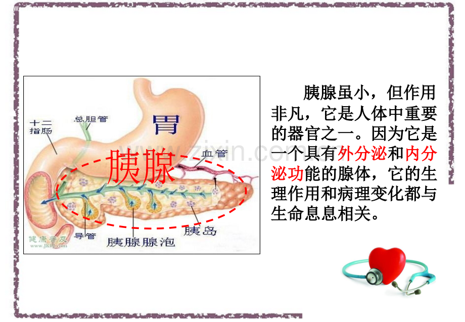 胰腺炎宣传PPT.ppt_第2页