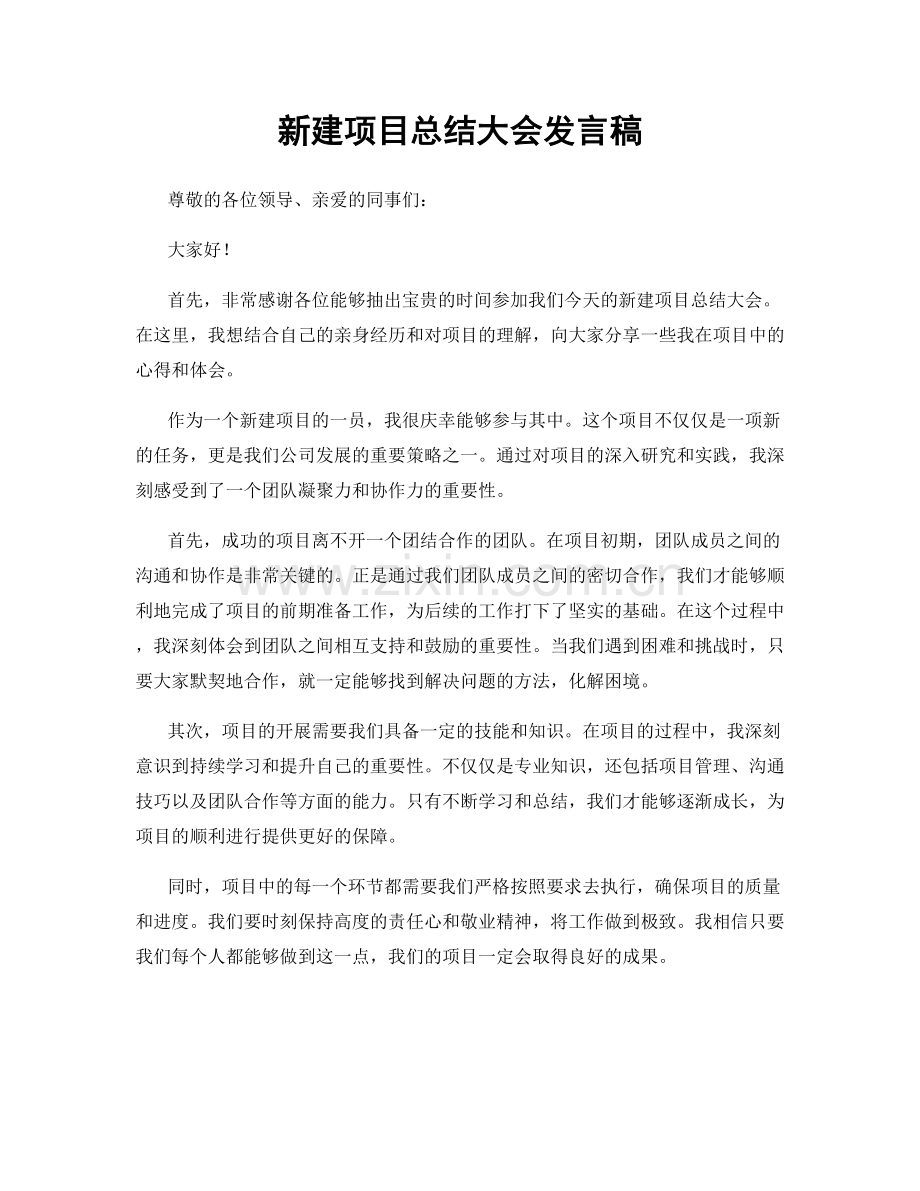 新建项目总结大会发言稿.docx_第1页