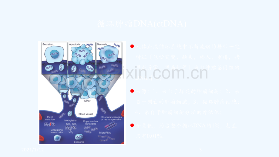 循环肿瘤DNA意义.ppt_第3页