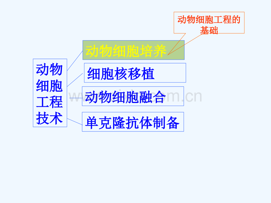 动物细胞工程上课ppt.ppt_第3页