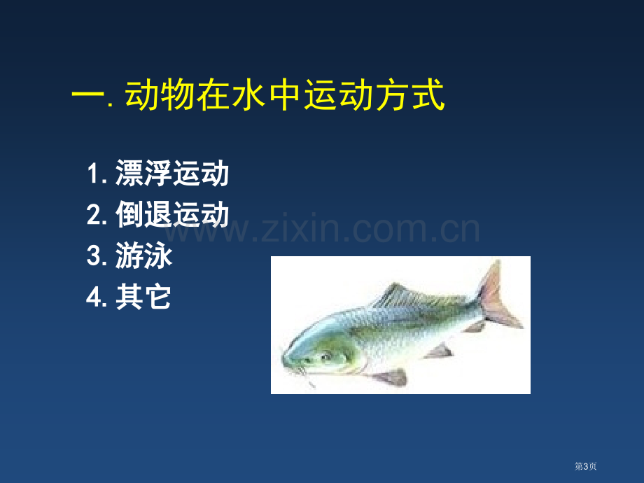 动物运动的方式教学课件省公开课一等奖新名师优质课比赛一等奖课件.pptx_第3页