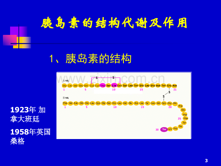 胰岛素的临床应用简介.ppt_第3页