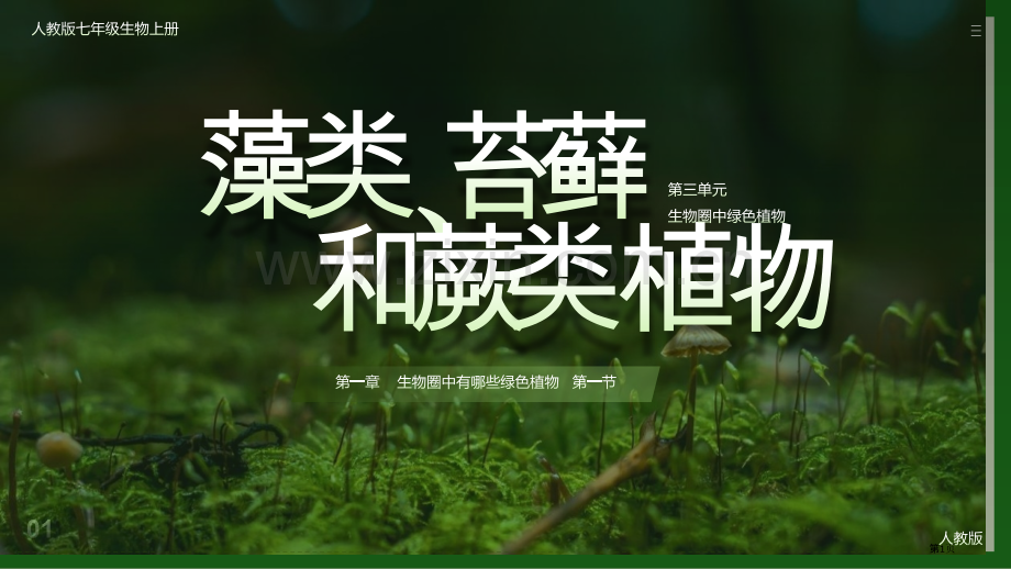 人教版七年级上册3.1.1藻类、苔藓和蕨类植物-课件(25张)省公开课一等奖新名师优质课比赛一等奖课.pptx_第1页