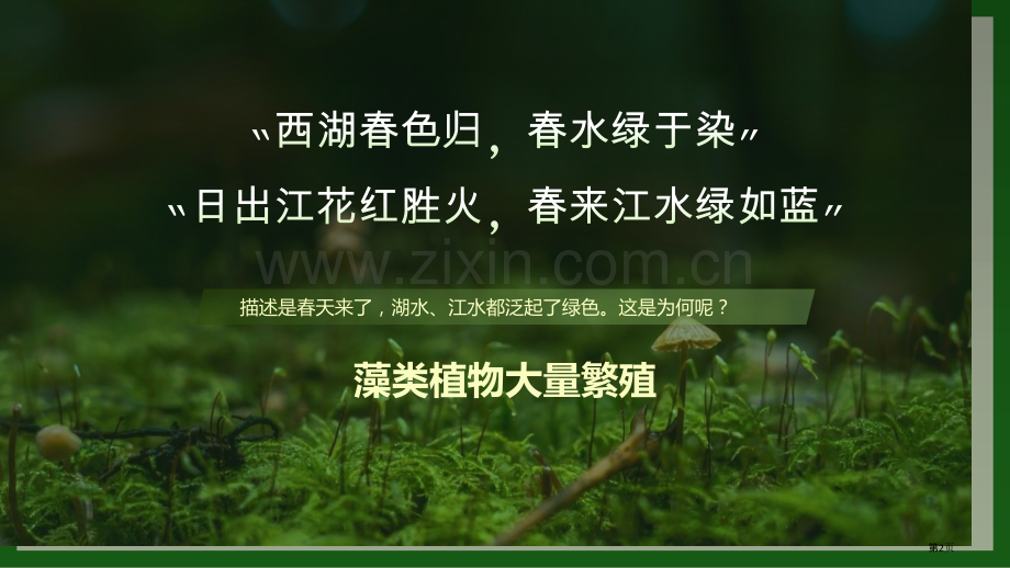 人教版七年级上册3.1.1藻类、苔藓和蕨类植物-课件(25张)省公开课一等奖新名师优质课比赛一等奖课.pptx_第2页