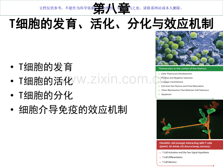 免疫学T细胞发育活化分化和效应机制课件.ppt_第1页