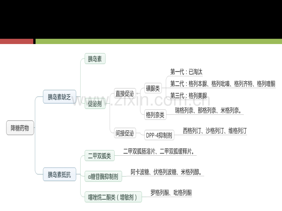 六大类口服降糖药.ppt_第2页