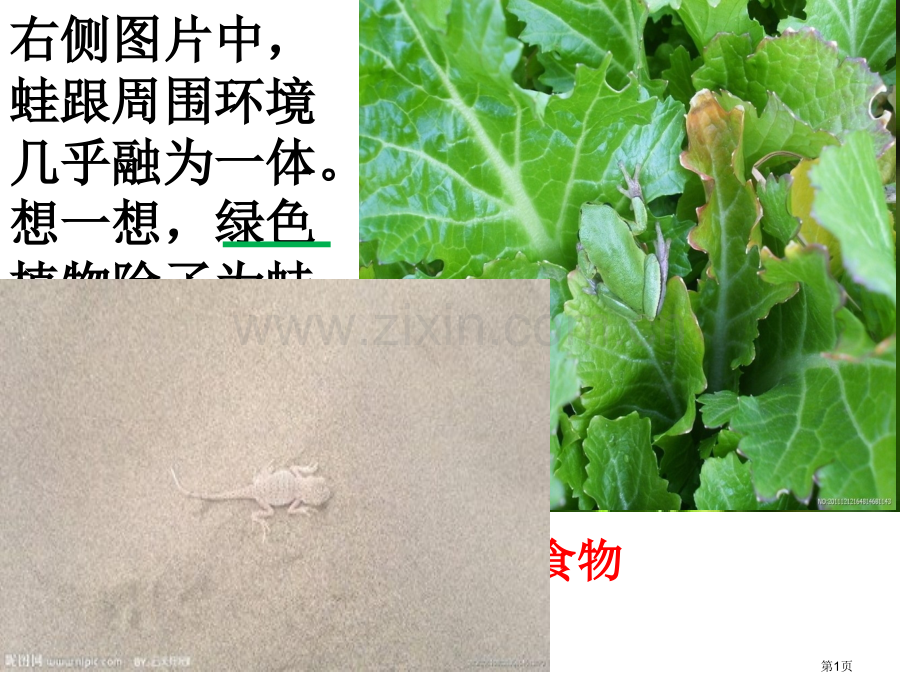 绿色植物是生物圈中有机物的制造者省公共课一等奖全国赛课获奖课件.pptx_第1页