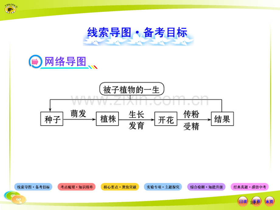 人教版初中生物中考复习第三单元被子植物的一生省公共课一等奖全国赛课获奖课件.pptx_第2页