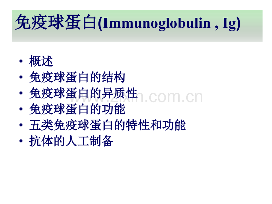 医学免疫球蛋白医学知识宣讲PPT培训课件.ppt_第3页