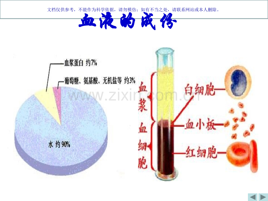 体循环肺循环课件.ppt_第2页