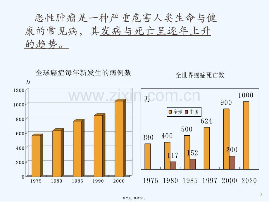 护理化疗课件.ppt_第3页