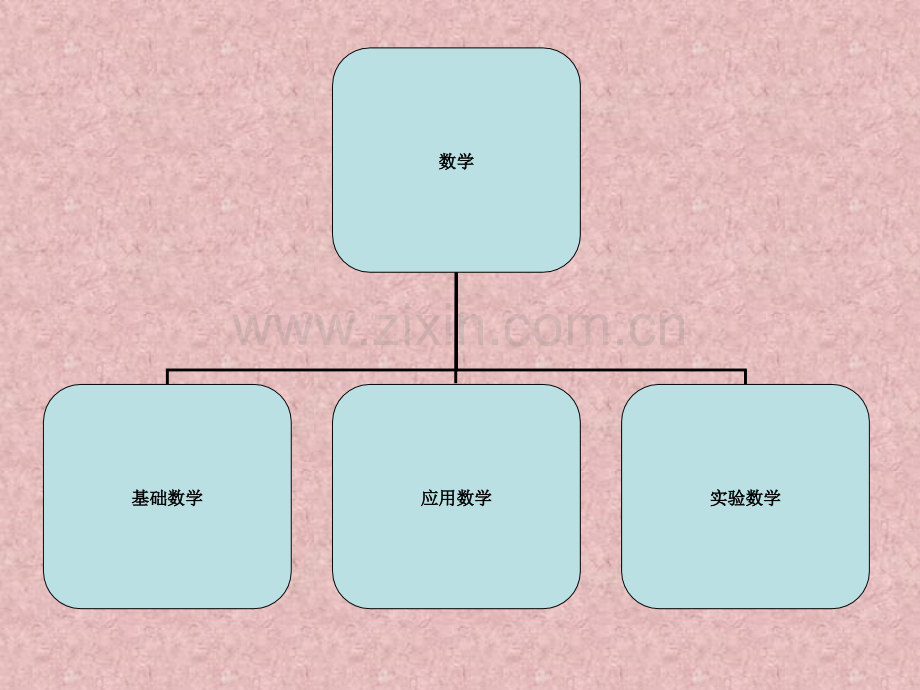 数学科学张志明.pptx_第3页