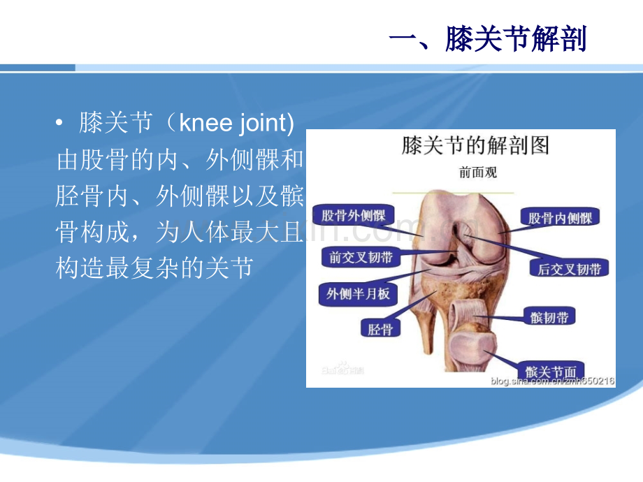 PPT医学课件膝过伸治疗医学知识专题讲座讲义.ppt_第2页