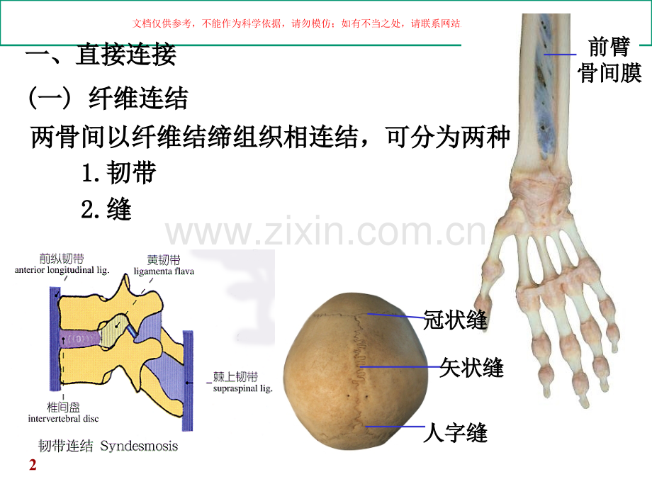 关节学专题知识课件.ppt_第2页