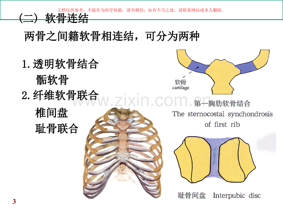 关节学专题知识课件.ppt_第3页