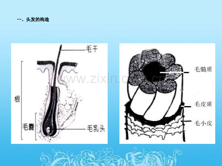 不同洗发水对头发护理程度报告究极体.ppt_第3页